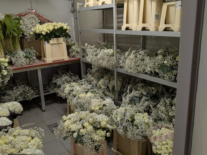 PXL_20250405_110504283